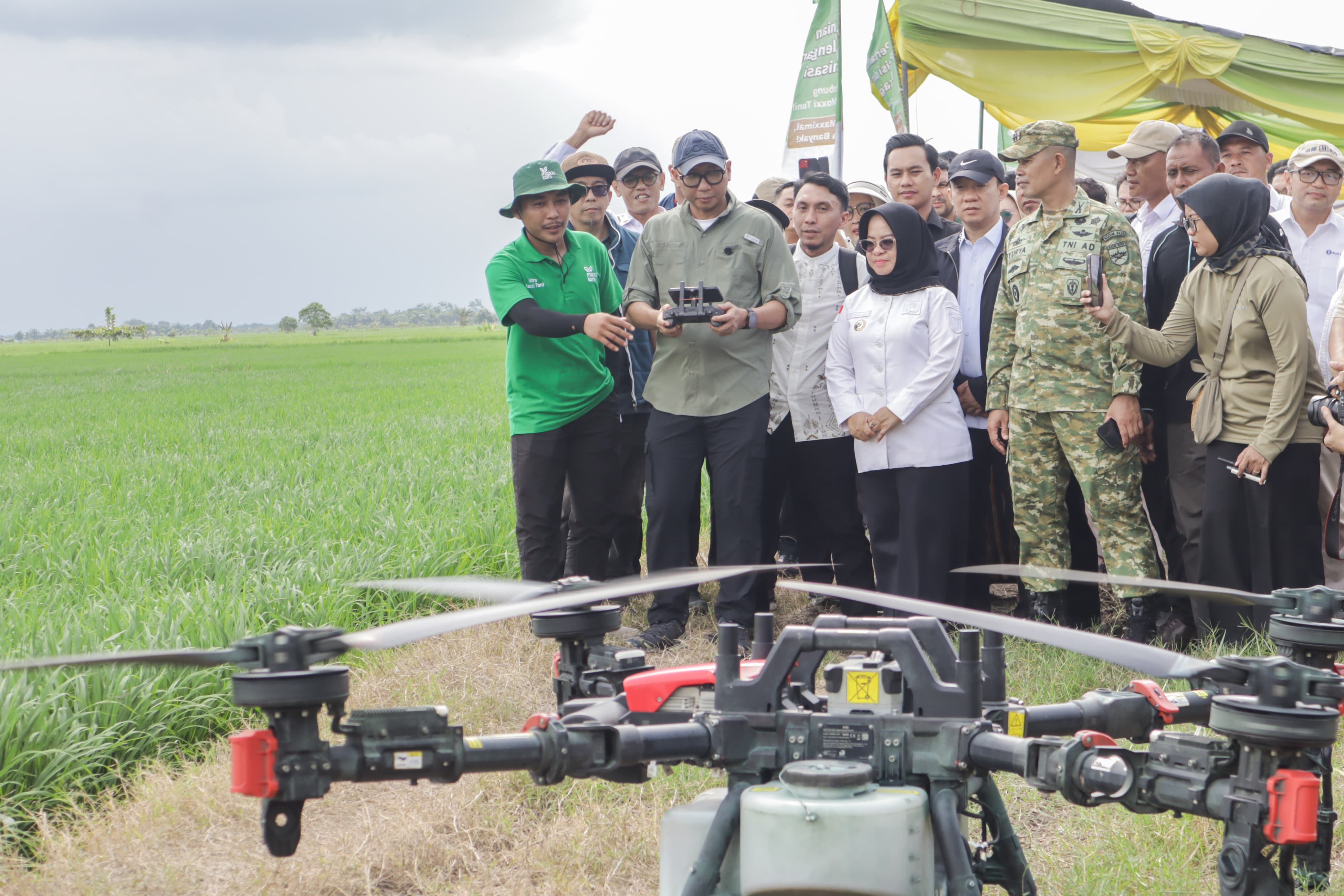 Gubernur Lampung Dorong Mesuji Jadi Lumbung Pangan Lewat Pertanian Modern