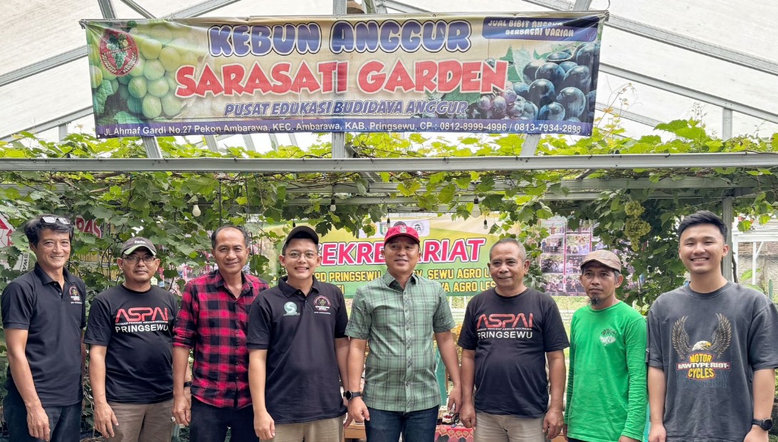 Petani Anggur Pringsewu Tuai Apresiasi dari Bupati Lampung Barat