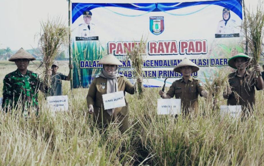 Panen Raya di Wonosari, Umi Laila Ajak Petani Manfaatkan Teknologi Pertanian