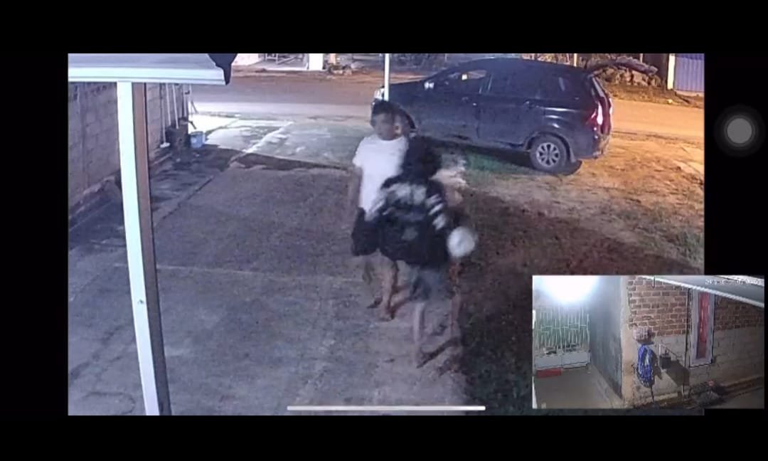 Viral Pencurian Gabah di Metro Timur, Dua Pelaku Diamankan Polisi