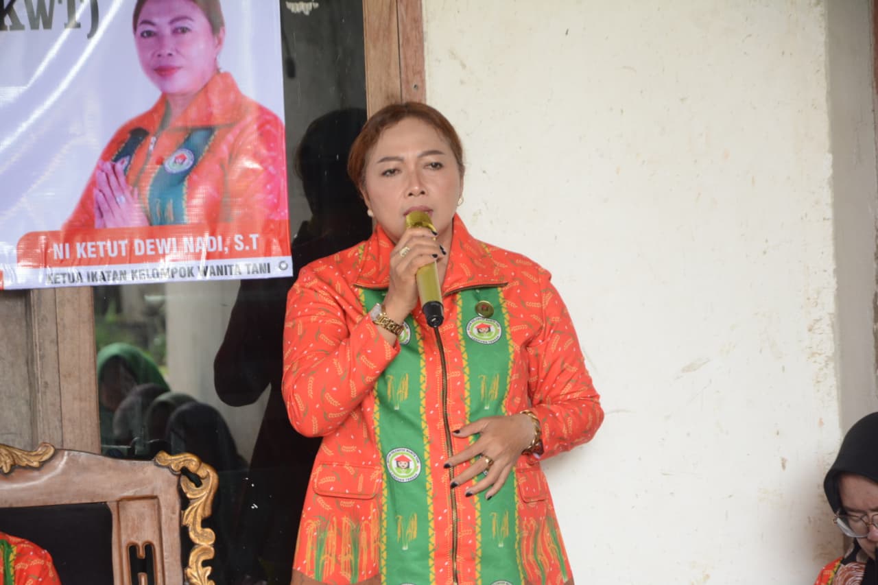  Pimpin Rakor, Ketua IKWT Lamteng Ni Ketut Dewi Nadi Komang Koheri Tekankan Inovasi 3K