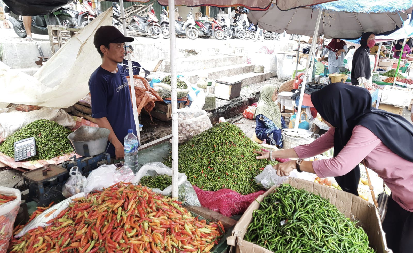 Harga Cabai Merah Keriting Meroket di Kota Metro