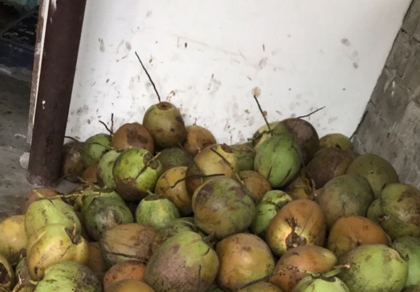 Lonjakan Harga Kelapa di Lampung Tengah, Pedagang Curhat Sulit Jualan