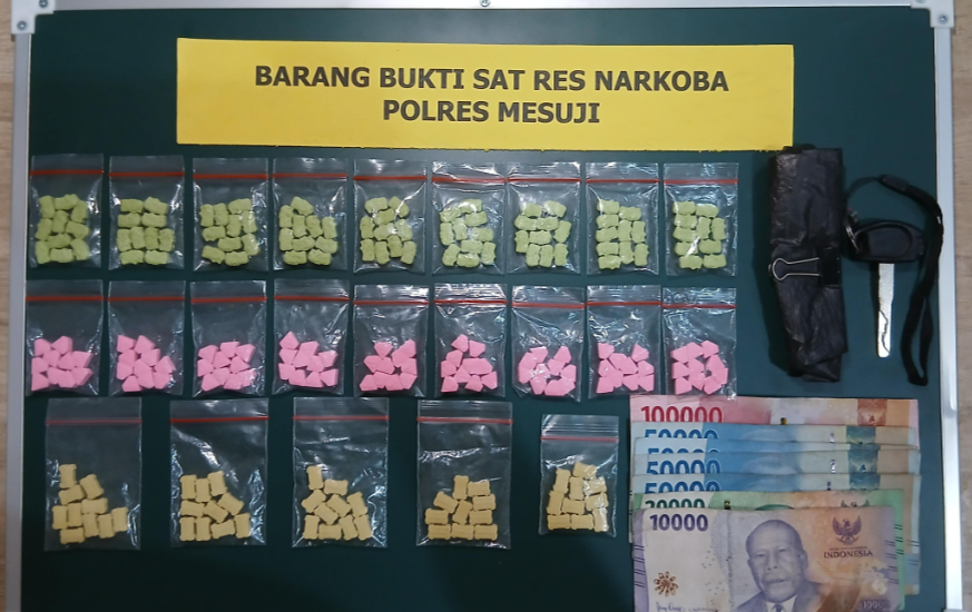 Polisi Gerebek Sarang Narkoba di Mesuji Timur, Sita 230 Pil Ekstasi dan Sabu 24,86 Gram