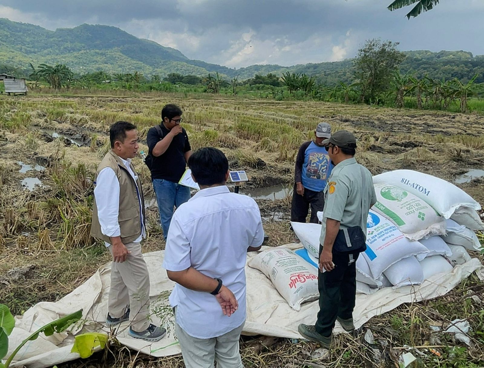 Panen Diserap Maksimal, BULOG DIY Amankan 101 Ribu Ton 