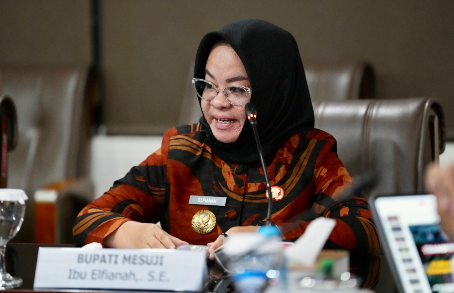 Pemkab Mesuji Rencanakan Satu Aplikasi untuk Berbagai Layanan Publik Masyarakat