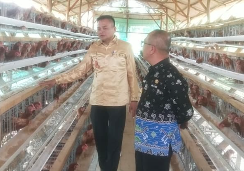 Dukung Ketahanan Pangan, Pemdes Mekar Sari Kembangkan Usaha Ternak Ayam Petelur