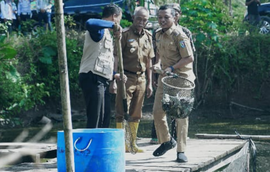 Pokdakan Widya Mandala Pringsewu Menjadi Inspirasi Keberhasilan Budidaya Ikan Berkualitas