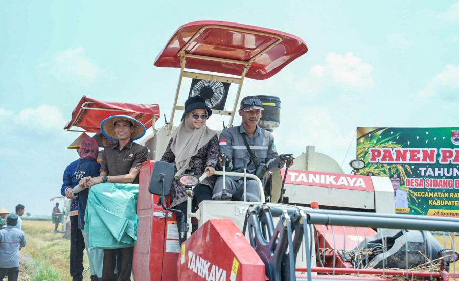Panen Raya Padi di Mesuji Tembus 8 Ton per Hektare, Rawa Jitu Utara Jadi Penyangga Pangan