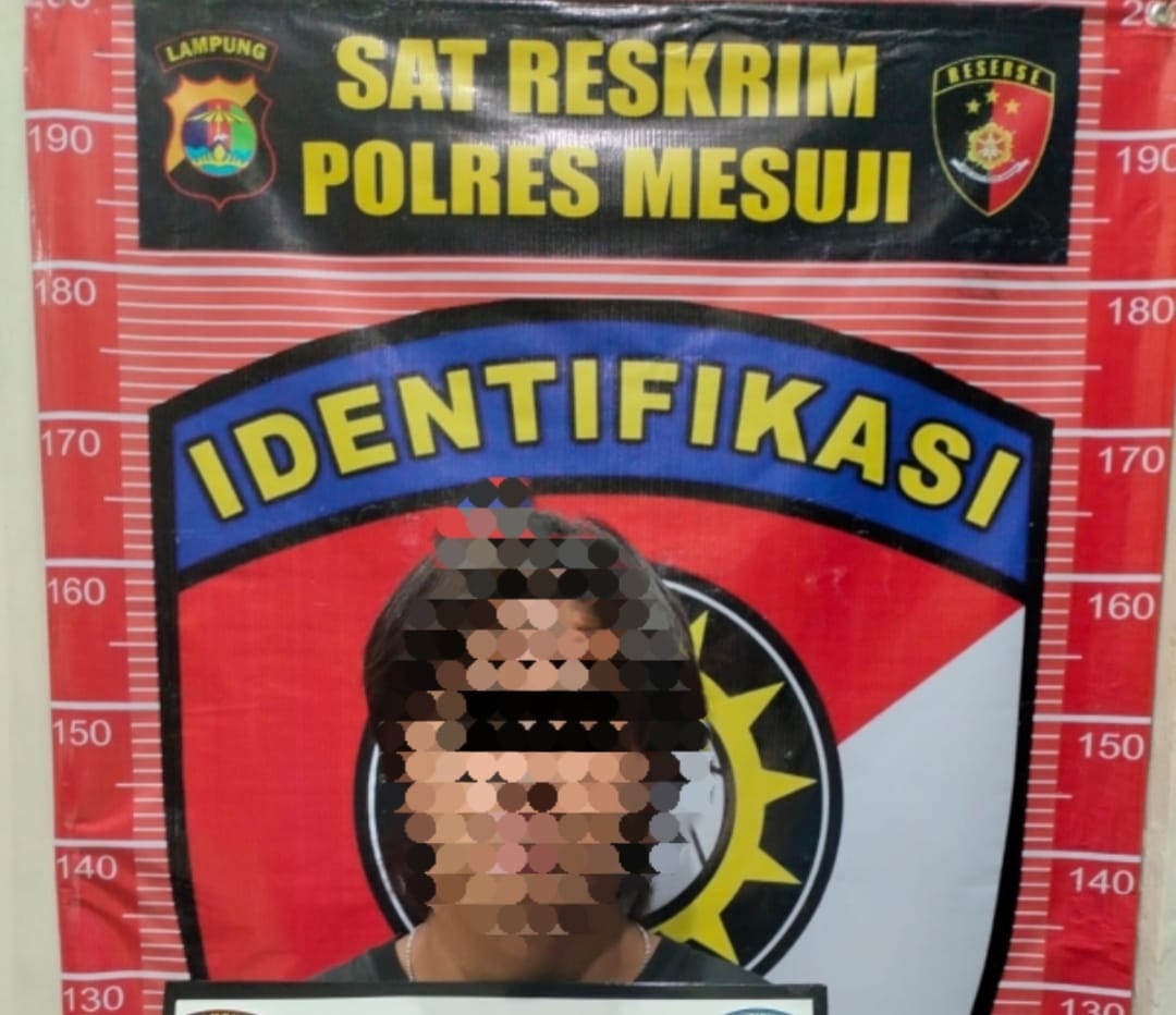 Kasus Pemerkosaan Konten Kreator di Mesuji Terungkap, Dua Pelaku Diamankan Polisi