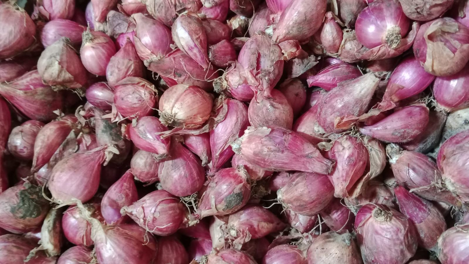 Pasokan Menurun, Harga Bawang Merah di Pasar Sekampung Lampung Timur Merangkak Naik