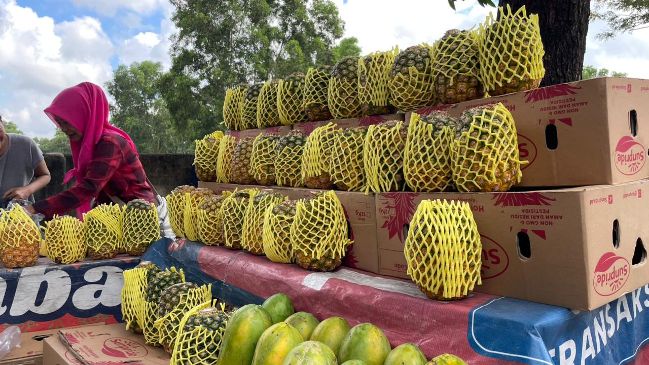 Diburu Pembeli, Nanas Madu Jadi Primadona Baru Favorit Warga Kota Metro