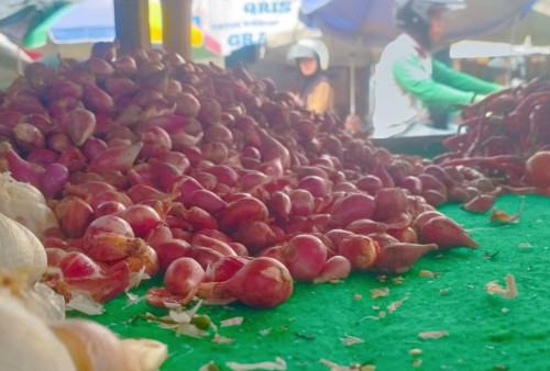 Harga Bapok Merangkak Naik Jelang Nataru