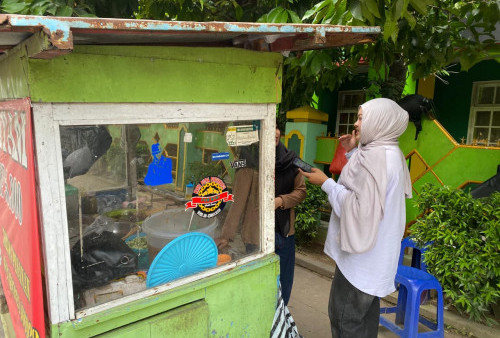 Sate Ayam Laris di Pojok UIN Lampung, Kisah Via Bangun Usaha dari Nol