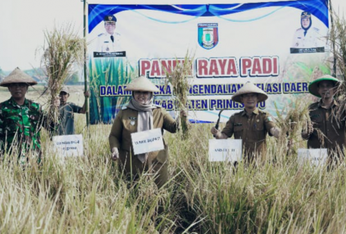 Panen Raya di Wonosari, Umi Laila Ajak Petani Manfaatkan Teknologi Pertanian