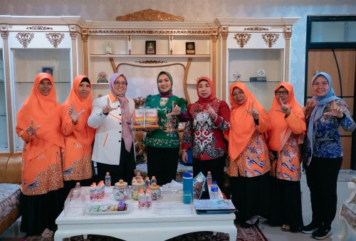 BIPEKA PKS Lampung dan TP PKK Lampung Bersinergi Perkuat Peran Perempuan dan Ketahanan Keluarga