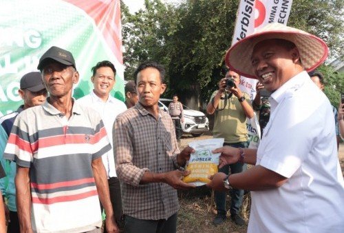 Ajak Generasi Muda Bertani, Wabup Lamteng Pimpin Penanaman Jagung Serentak Kuartal III di Seputih Agung