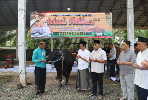 Polres Mesuji Sembelih 6 Sapi dan 13 Kambing di Hari Raya Idul Adha 1447 H