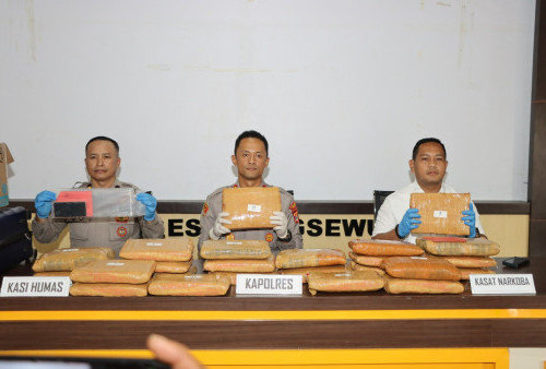 Satres Narkoba Polres Pringsewu Gagalkan Peredaran Ganja 24 Kg di Lampung