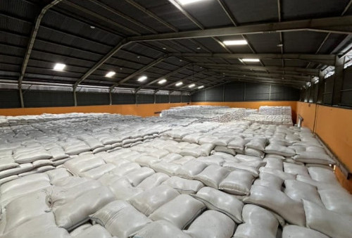 Pasokan Pangan di Yogyakarta Aman, BULOG Imbau Masyarakat Tak Perlu Panic Buying