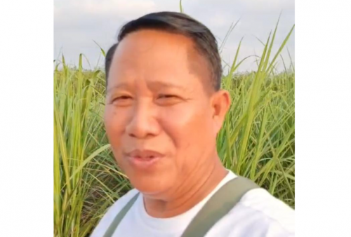 Petani Tebu Lega, Rekening PT PSMI Sudah Bisa Dipakai Lagi