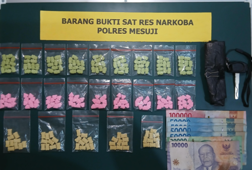 Polisi Gerebek Sarang Narkoba di Mesuji Timur, Sita 230 Pil Ekstasi dan Sabu 24,86 Gram