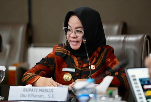 Pemkab Mesuji Rencanakan Satu Aplikasi untuk Berbagai Layanan Publik Masyarakat