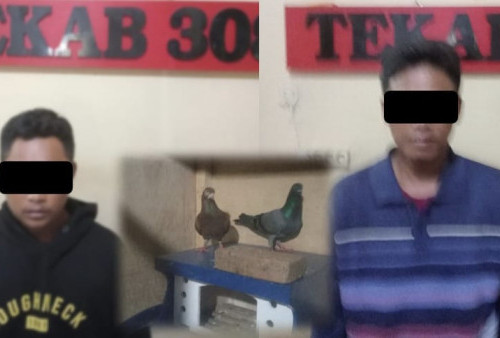 Polisi Amankan Warga Metro dan Lamteng Tersangka Pencurian Burung Dara