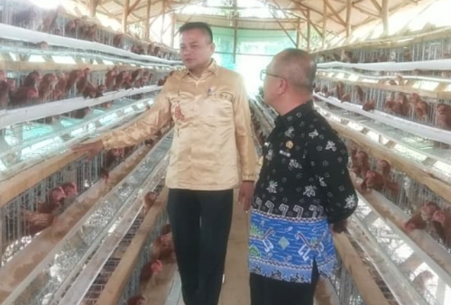 Dukung Ketahanan Pangan, Pemdes Mekar Sari Kembangkan Usaha Ternak Ayam Petelur