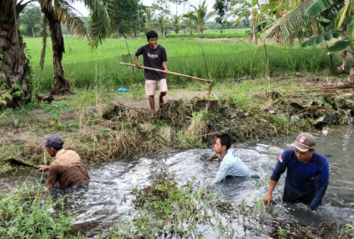 Pemdes Tirtalaga Imbau Warga Bersihkan Saluran Air untuk Cegah Banjir dan Penyakit Demam Berdarah
