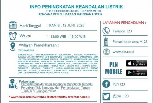 PLN Umumkan Pemadaman Bergilir di Sekampung, Cek Daftar Wilayah Lain!