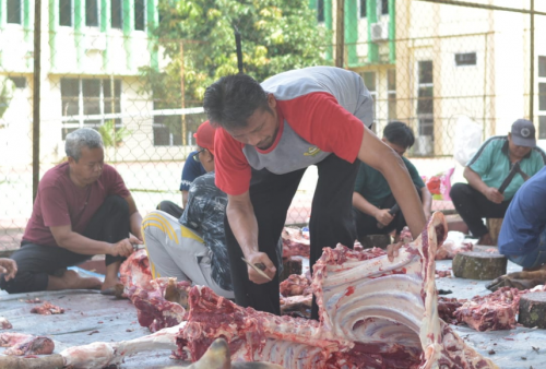 Iduladha 1446 H: UIN Jurai Siwo Lampung Teguhkan Kebersamaan Lewat Kurban dan Syukuran Status Universitas