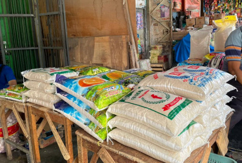 Harga Beras di Metro Stabil di Tengah Lonjakan Permintaan Konsumen