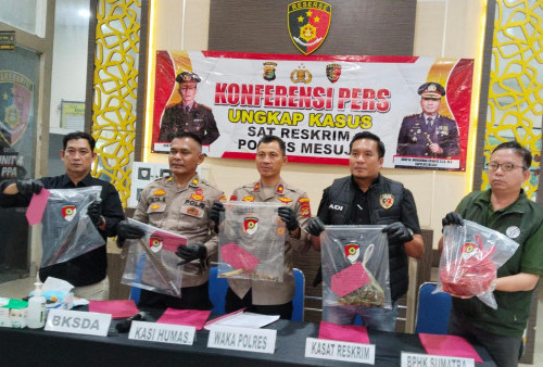 Polres Mesuji Tangkap 4 Terduga Pelaku Pembunuhan Tapir di Kawasan Register 45
