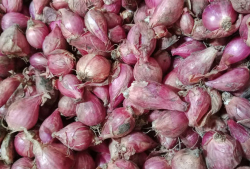 Pasokan Menurun, Harga Bawang Merah di Pasar Sekampung Lampung Timur Merangkak Naik