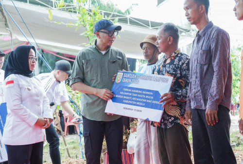 Gubernur Lampung Perkuat Lumbung Pangan Mesuji Lewat Bantuan Bed Dryer