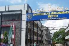 UM Metro Tempati Posisi Kedua Kinerja Riset PTMA se-Sumatera Versi SINTA