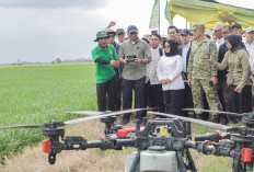 Gubernur Lampung Dorong Mesuji Jadi Lumbung Pangan Lewat Pertanian Modern