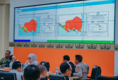 Lahan Terbakar Capai 4.800 Hektare, Wagub Lampung Minta Pencegahan Karhutla Tak Cuma Andalkan Pemadaman
