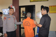 Terbongkar Lewat Tes Kehamilan Sekolah, Kasus Ayah Tiri Cabuli Anak Sambung di Pringsewu