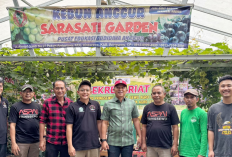 Petani Anggur Pringsewu Tuai Apresiasi dari Bupati Lampung Barat