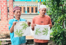 UBL Dorong Pemulihan Alumni ODGJ Lewat Pelatihan Ecoprint Teknik Pukul di Lampung Tengah