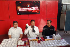 Dua Tersangka Diamankan, Polisi Sita 81 Ribu Butir Obat Keras di Yogyakarta