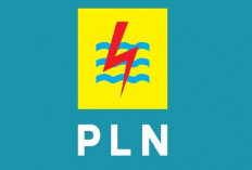 PLN Buka Buka Lowongan Kerja untuk Lulusan D3 hingga S2