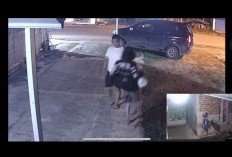 Viral Pencurian Gabah di Metro Timur, Dua Pelaku Diamankan Polisi
