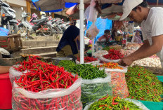 Harga Cabai Rawit dan Merah di Metro Lampung Kompak Turun Pasca Idulfitri
