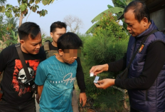Dua Pria Diamankan saat Polisi Gerebek 6 Lokasi Dugaan Sarang Narkoba di Pringsewu