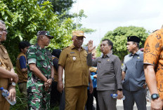 Jembatan Way Pengubuan Ambruk, Plt Bupati Koheri Langsung Turun ke Lapangan