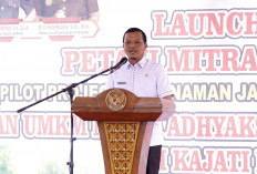 Pringsewu Fokus Ketahanan Pangan, Targetkan Produksi Jagung 48.899 Ton Tahun 2025