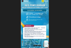 PLN ULP Metro Umumkan Pemadaman Listrik di Sekitar Metro Kibang, Cek Wilayah Lain!